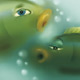 Sternzeichen Fische